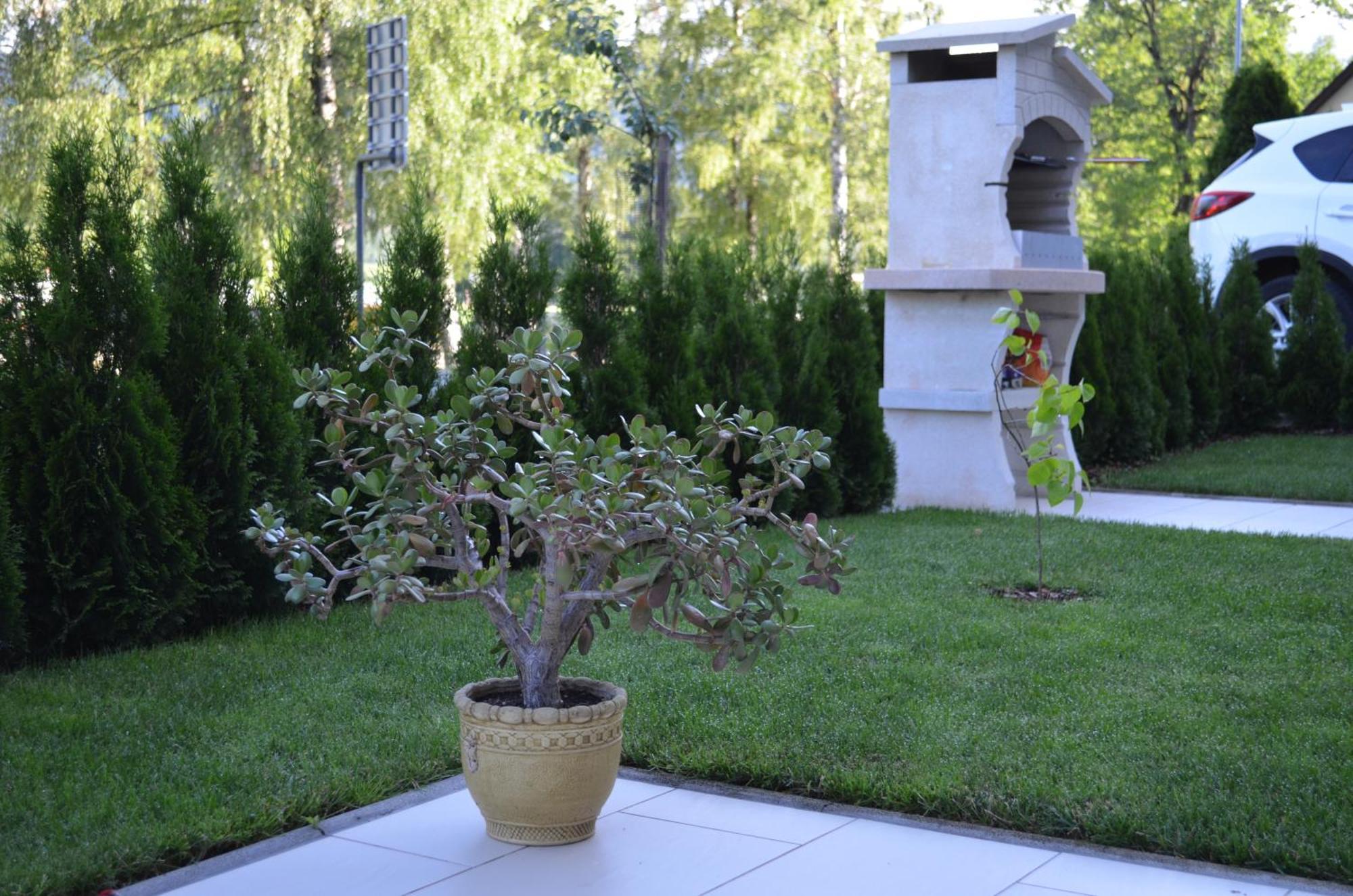Apartments Sofija Bled Zewnętrze zdjęcie